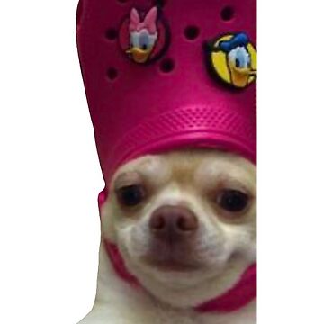 Dog with croc store on head sticker