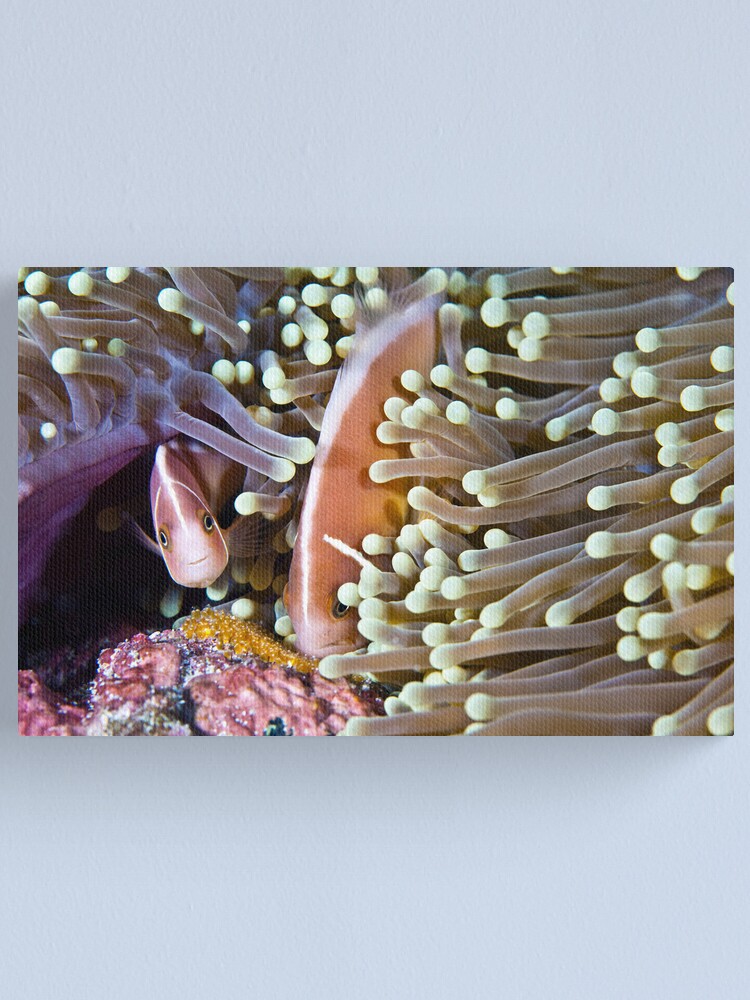 Alternate view of Devoted Canvas Print