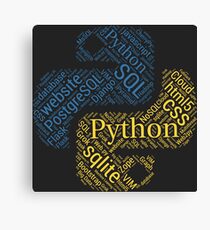 Python Programmer & Developer T-shirt & Hoodie NEW Canvas Print