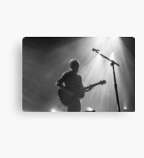 Passenger concert photography Canvas Print