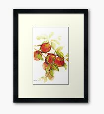 autumn apples watercolor Framed Print