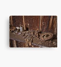 Urban Exploration Canvas Print