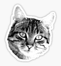 Tabby Cat Digital Engraving. Images of Cats Sticker