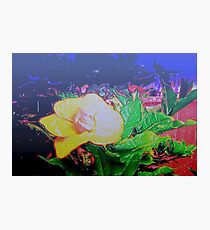 Our tropical nights Photographic Print