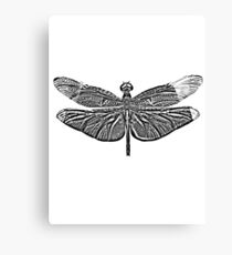 Dragonfly Digital Engraving. Insect Digital Art. Canvas Print