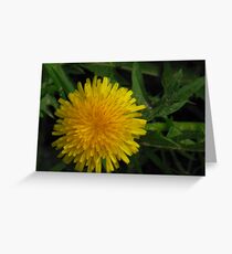 Dandy Greeting Card