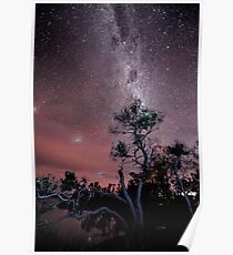 Milky Way over Boomers Bay Poster