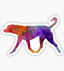 Transylvanian Hound in watercolor Sticker