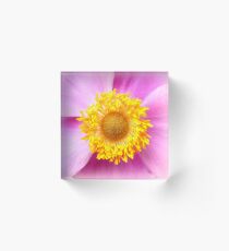 Japanese Anemone Acrylic Block