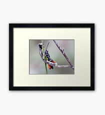 Darth Vader Framed Print