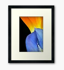 Complimentary Colors of Nature Framed Print