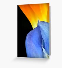Complimentary Colors of Nature Greeting Card