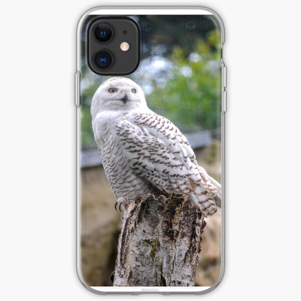 Snow owl iPhone Soft Case