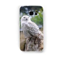 Snow owl  Samsung