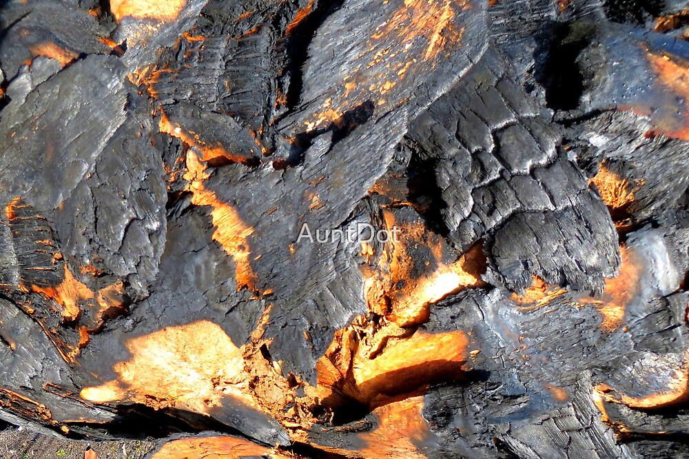 charred-bark-by-auntdot-redbubble