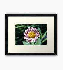 Unique Framed Print