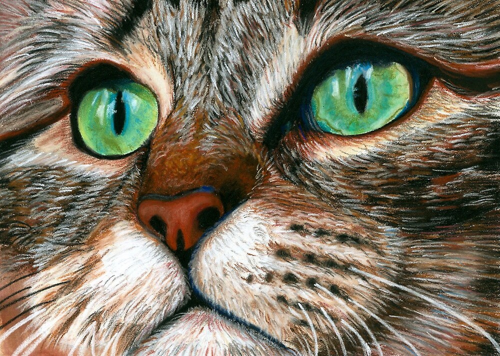  Tabby Cat Pastel by AngelaBishop Redbubble