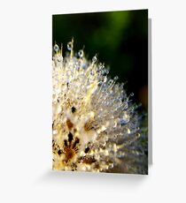 Dreams of Dew IV Greeting Card