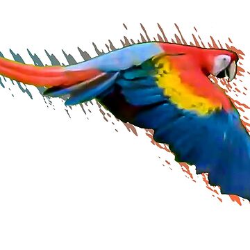 Artwork thumbnail, Scarlet macaw downwards wings by ARCASrescate