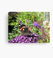 Sojourn Canvas Print