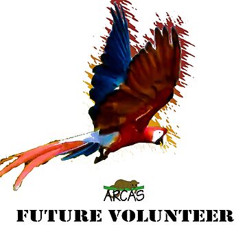 Artwork thumbnail, Future volunteer: macaw by ARCASrescate