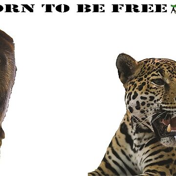 Artwork thumbnail, Born to be free jaguar and monkey by ARCASrescate