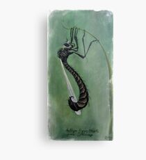 Insect Metal Print