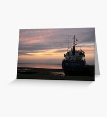 The Sea Kestrel Greeting Card