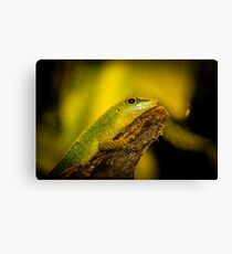 Reptile Canvas Print