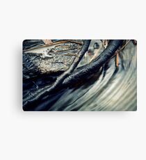 The Creek #11 Canvas Print