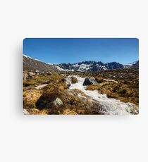 A Cool Mountain Stream Canvas Print