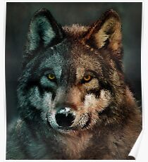 Animal Art - Wolf Poster