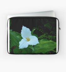 Goddess Beauty Laptop Sleeve