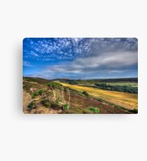 Headon Warren IOW Canvas Print