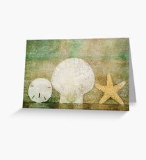 Sand Shell Star Greeting Card