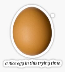 a nice egg Sticker