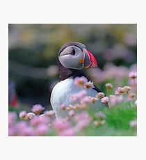 Puffin with flowers Photographic Print
