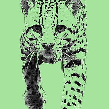 Artwork thumbnail, Ocelot: Born to be Free by ARCASrescate