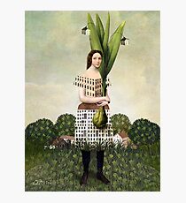 The Gardener Photographic Print