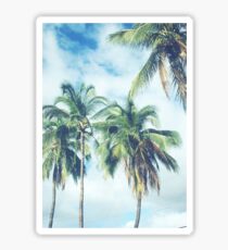 Palm Trees 2 Sticker