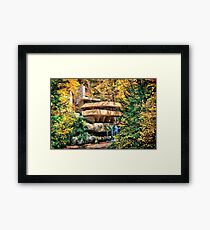 Frank Lloyd Wright Fallingwater Framed Print