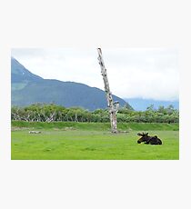 And That is a Moose Photographic Print