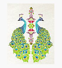 peacock Photographic Print