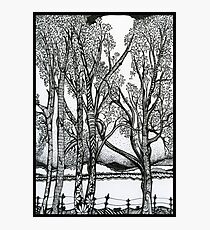 Farm Trees, Ink Drawing Photographic Print