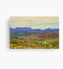 The Flinders Ranges in Bloom Canvas Print