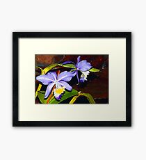 Pond orchids Framed Print