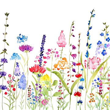 Artwork thumbnail, colorful wild flower field  by ColorandColor