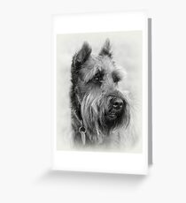 Bearded Dog Greeting Card