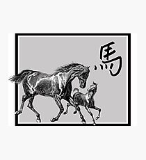 Year of The Horse Photographic Print