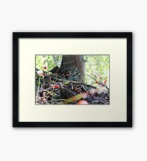 Foreign World Framed Print